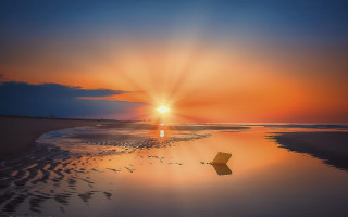 Sunset beach reflection artist photography - the water and a person free wallpaper