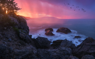 Sunset ocean birds rocks mystical - a sunset over the ocean free wallpaper