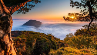 Mountain tree fog valley sunset - german romanticism free wallpaper