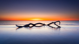 Driftwood beach sunset ocean sky - the sun free wallpaper
