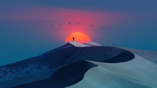 Mountain sunset birds ocean desert - over the top free wallpaper