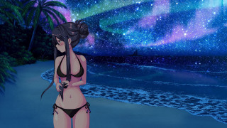 Woman beach starry sky palm - a sky full free wallpaper