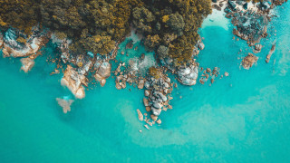 Boats ocean forest rocks saturated - a group of boats free wallpaper
