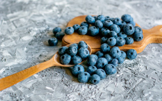 Wooden spoon blueberries ice winter - evaline ness free wallpaper