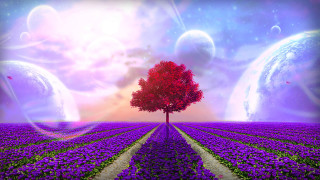 Tree flowers planet purple sky - planet free wallpaper