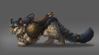 Cat shield helmet fullbody gray - gray free wallpaper for desktop