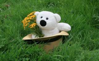 Stuffed bear basket flowers hat - product photo free wallpaper