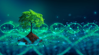 Tree island glowing biology fantasy - a pattern of circles free wallpaper