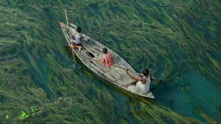 Seaweed people boat fish nature - two person free wallpaper