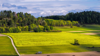 Field dirt road bench trees - a cloudy day free wallpaper