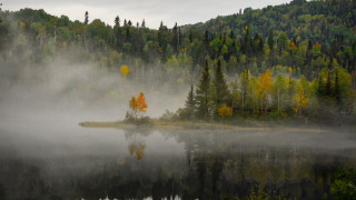 Lake fog island trees forest - volumetric fog free wallpaper