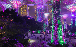 Park people lights city night - a park free wallpaper