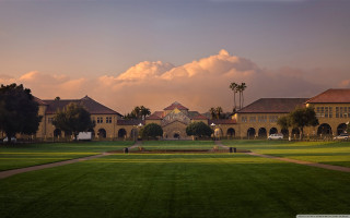 Large building clock tower field 2 - a large building free wallpaper