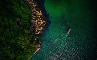 Boat shore trees rocks green - the shore free wallpaper