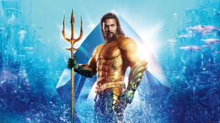 Man wet suit fish spear - a spear free wallpaper