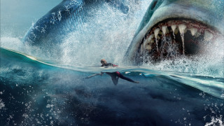 Surfing man shark ocean waterfireworks - weta digital free wallpaper