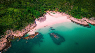 Beach boat forest aerial bush - a few boat free wallpaper