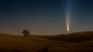 Comet tree night magic milkyway - godray free wallpaper
