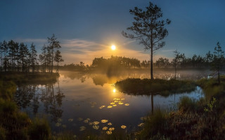 Lake sunset fog trees city - a sun free wallpaper