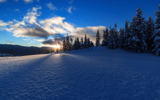 Snowy field trees sunset clouds 2 - crepuscular ray free wallpaper