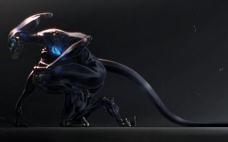 Black blue animal long tail - a blue light free wallpaper