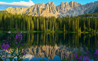 Mountain lake reflection flowers trees - a mountain range free wallpaper