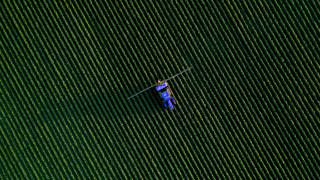Man blue boat green field - the middle of the day free wallpaper