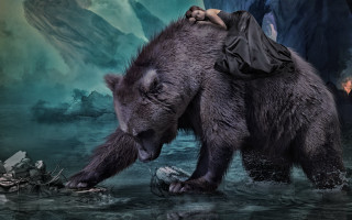 Woman bear water bag rock - a bear free wallpaper