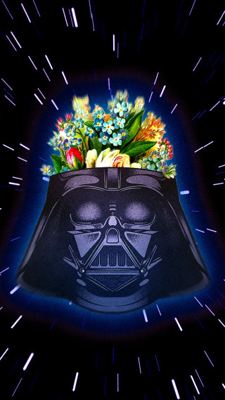 Darth vader flower pot planet - free holidays wallpaper