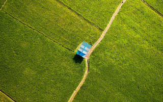 Blue house green field shaded - end free wallpaper