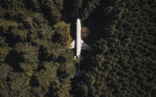 Plane forest night starry sky - the plane free wallpaper