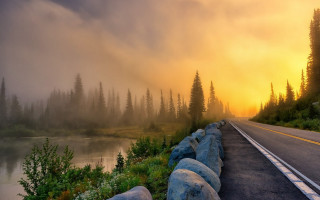 Foggy river road trees dusk - both side of the road free wallpaper