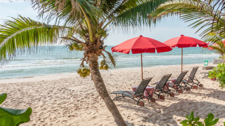 Beach lawn chairs umbrellas ocean - felipe seade free wallpaper