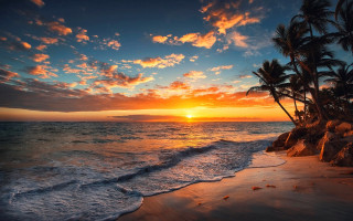 Sunset ocean palm trees rocky 2 - felipe seade free wallpaper