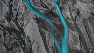 River forest blackwhite trees rocks - adobe lightroom free wallpaper