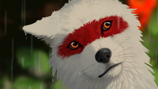 Dog red eyes white fur - a black nose free wallpaper
