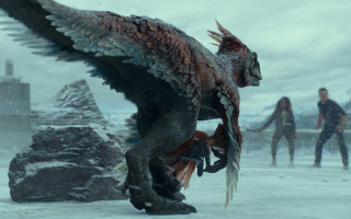 Giant bird snow scene neo - a large bird free wallpaper