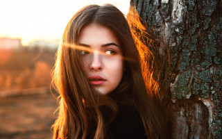 Woman longhair tree sun blowing - the sun free wallpaper