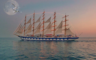 Sailboat fullmoon seagull ocean night - overhead free wallpaper