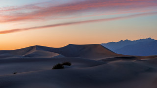 Sunset desert lone tree mountains - a sunset over a desert free wallpaper