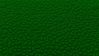 Green water droplets fence leaf - art green free wallpaper