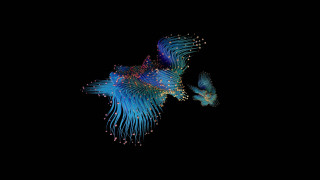 Blue fish white fish raytraced - elizabeth murray free wallpaper