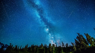Night sky stars shooting tree - astrophotography free wallpaper