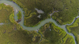 River forest tiltshift ecological art - river free wallpaper
