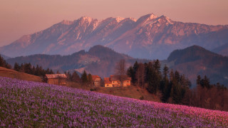 House field flowers mountains sunset - ferenc joachim free wallpaper