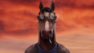 Horse sunglasses shirt cigarette red - its mouth free wallpaper