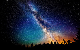 Night sky bright star tree 5 - a night sky free wallpaper