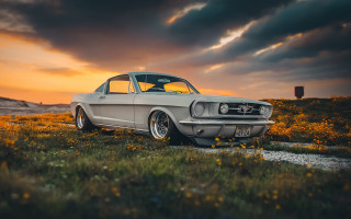 Car flower field sunset cloudy - a car free wallpaper