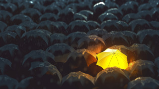 Rainy umbrella group institutional critique - the middle of the picture free wallpaper