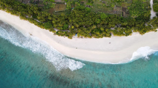 Aerial beach forest tilt shift - area free wallpaper